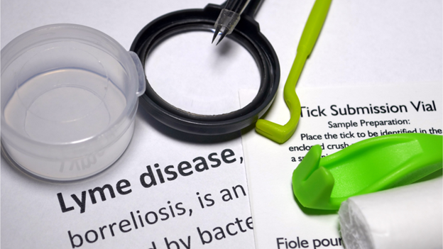 can-lyme-disease-be-cured-debunking-five-lyme-disease-myths-citymd